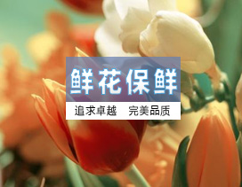 鲜花保鲜